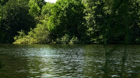Old Fashioned river boat going down a river Stock Footage 111909338