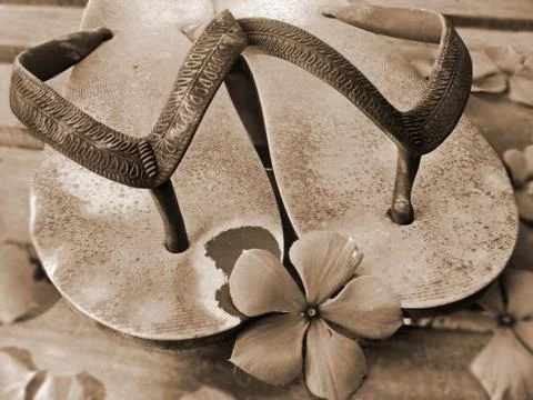 Old-fashioned slippers Stock Photos