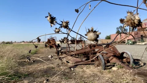 Old fashioned tractor Stock Footage 126306963