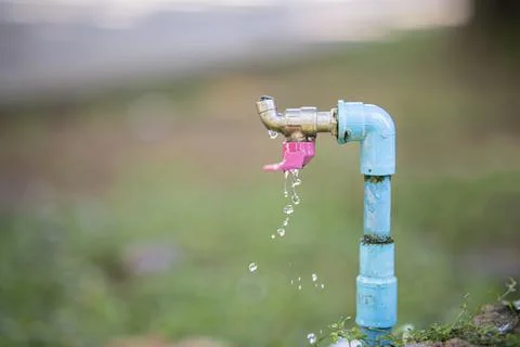 Old faucet in nature background. Stock Photos