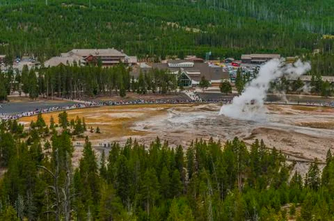 Old feithful geyser eruption Stock Photos