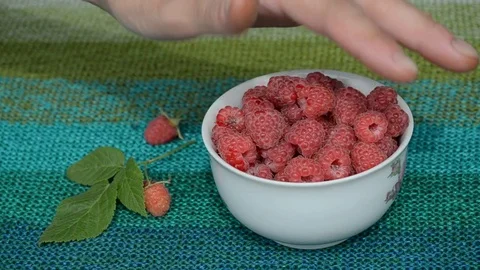 Old female hand puts in plate a handful of fresh ripe raspberries Stock Footage 72330700