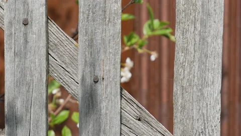 Old fence. The camera moves from left to right. Stock Footage 108029132
