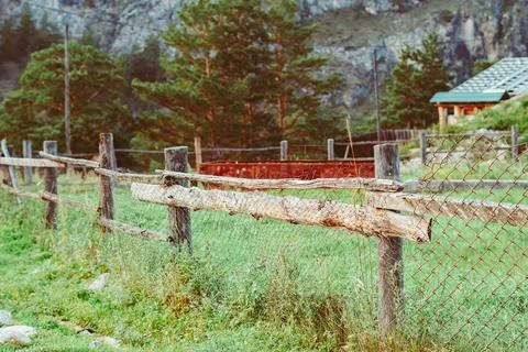 Old fence mesh on the dacha plot Stock Photos