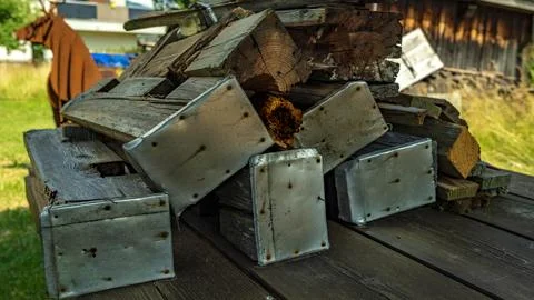 Old fence posts Stock Photos