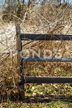 Old fence in winter forest Stock Photos