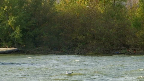Old ferryboat crossing river Video stock 96433416
