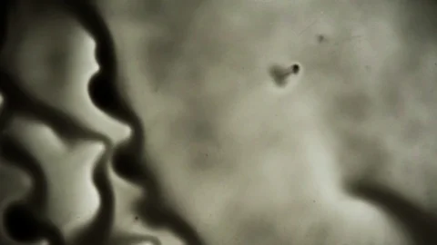 Old Film Burn Type Effect Reveal  Stock Footage