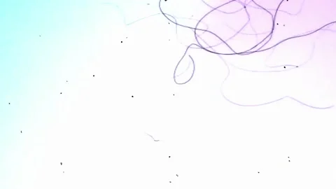 Old Film Light Leak Stock Footage 321426745