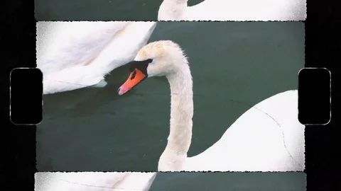 Old Film Tape Animated Frames After Effects素材