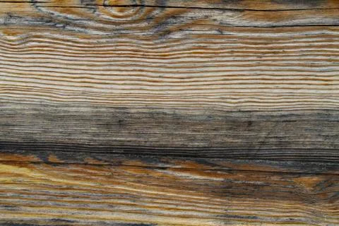 Old filthy pine board with cracks Stock Photos