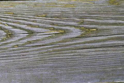 Old filthy pine board with cracks, covered dark green paint Stock Photos