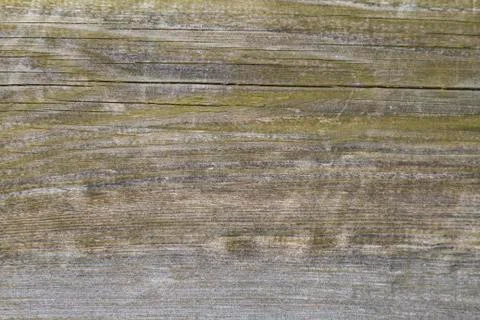 Old filthy pine board with cracks Stock Photos