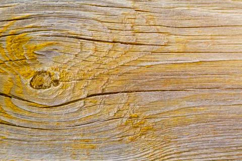 Old filthy pine board with cracks and knot, covered yellow paint collapsed pa Stock Photos