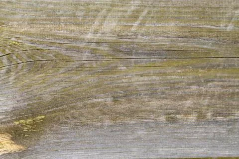 Old filthy pine board with cracks, covered dark green paint collapsed partly Stock Photos
