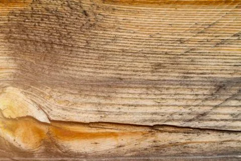 Old filthy pine board with cracks, toned sunlight. Stock Photos