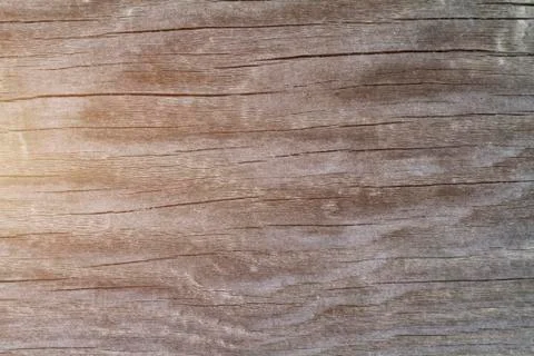 Old filthy pine board with cracks, toned sunlight Stock Photos