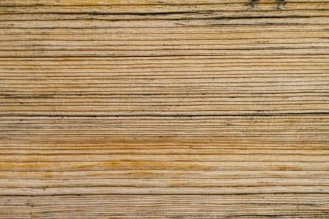 Old filthy plain pine board with cracks. Stock Photos