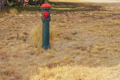 Old fire hydrant in field of summer dry grass Foto stock