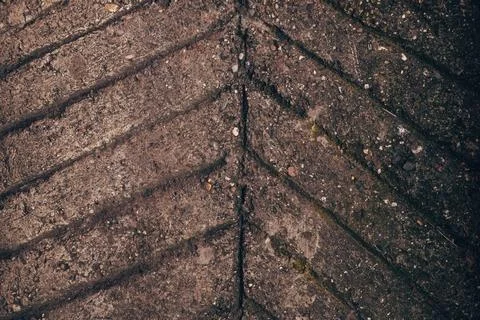 Old fish bone pattern concrete flooring as background 스톡 사진