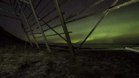 Old fish flake Stock Footage 87767153