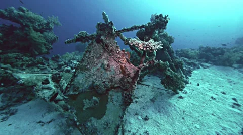 Old fish tanks of conshelf 2, Shab Rumi, Sudan Stock Footage 38646489