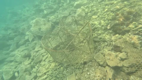 Old Fish trap at the bottom of the sea. Abandoned fish trap. Stock Footage 311135182