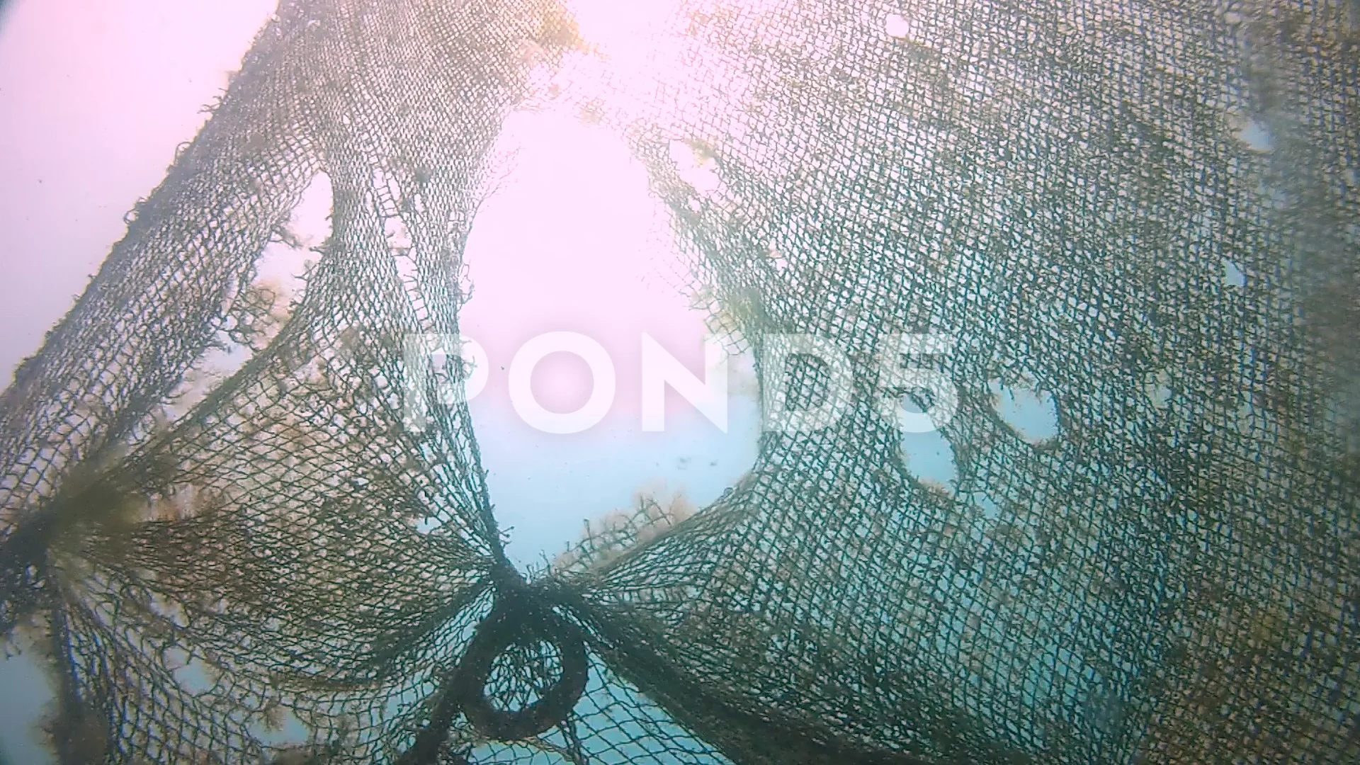 old fishing net under water in sea, Stock Video