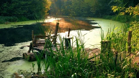 Old fishing pier on river Stock Footage