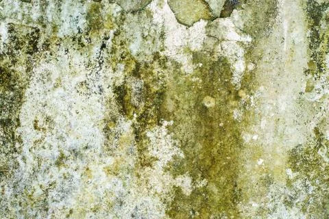 Old flaky white paint peeling off a grunge cracked wall Stock Photos