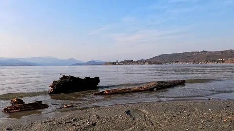 An old floating log abandoned on the lake shore Video stock 286383899