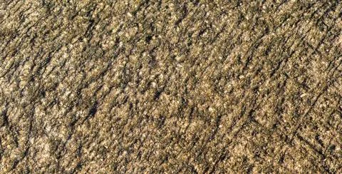 Old floor concrete texture Stock Photos