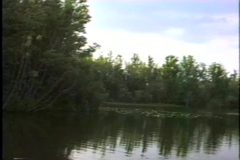 Old florida 1 動画素材 304720