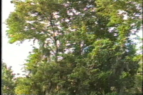 Old florida 3 動画素材 304644