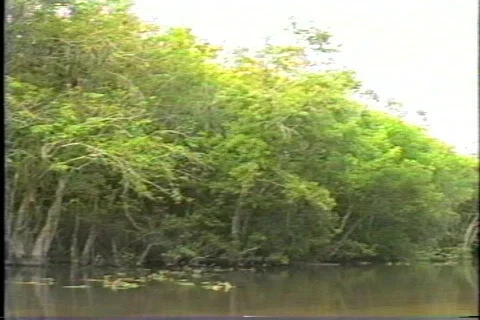 Old florida 4 動画素材 304795