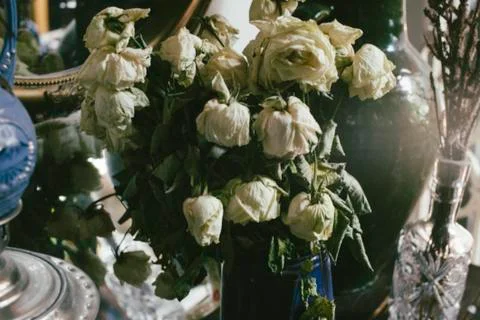 Old flower Stockfoto's