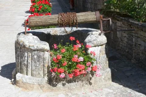 Old flowered well Stock Photos