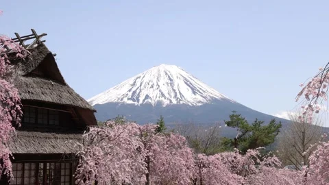 Old folk house and Mt. Fuji in JAPAN Stock Footage 308203535