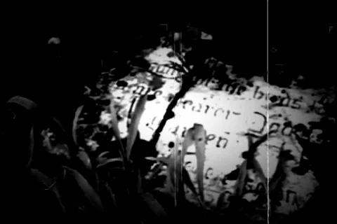 Old footage 34 Vídeo Stock 452882