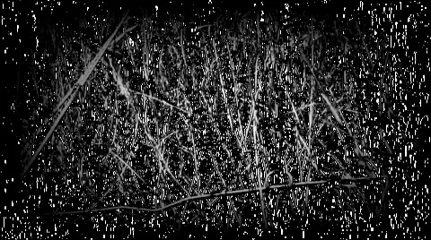 Old footage grass Vídeo Stock 995932