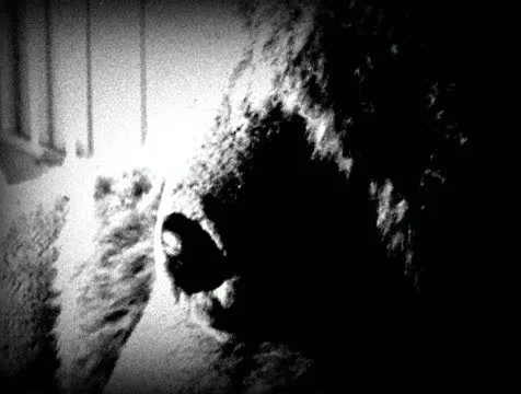 Old footage Teddy 5 Stock Footage 11428326