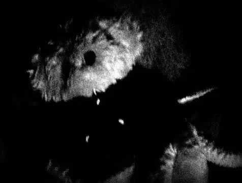 Old footage Teddy 6 Stock Footage 11428296