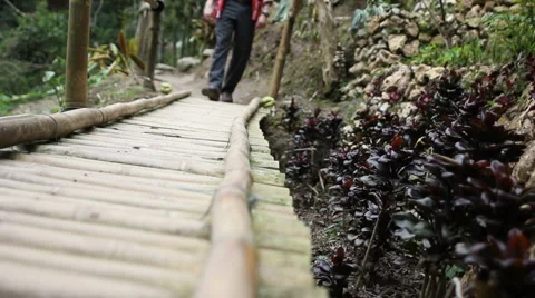 Old Footbridge Video stock 6790064