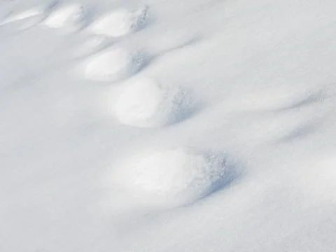 Old footprints in deep snow Stock Photos