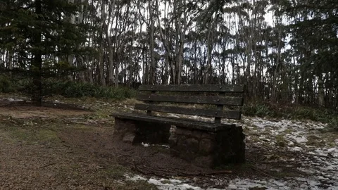 An old forest park bench, isolated in a forest during winter with some Vídeos de archivo 101282785