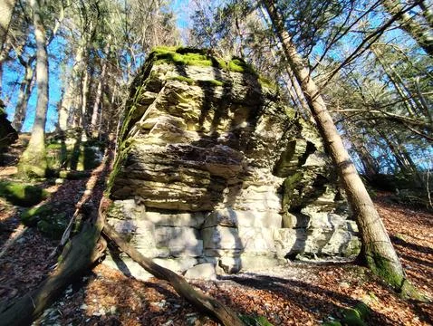 Old forest rock Foto stock