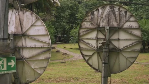 Old forgotten parabolas and a live deer eating in the background. looks 動画素材 236680614