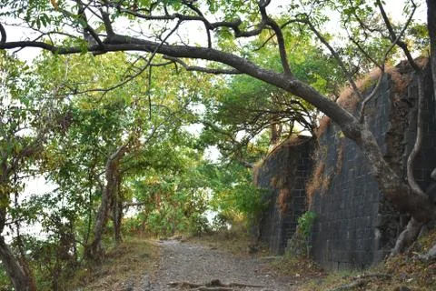 A old fort wall between a forest in a island Stock Photos