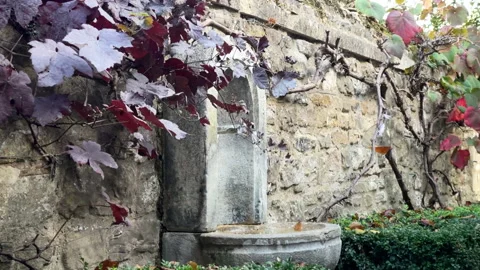 Old Fountain in the old parsonage section of St. Giles Church, Oxford England Stock Footage 230328717