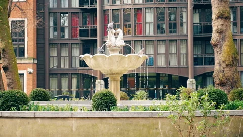 Old fountain in the park. Stock Footage 87585237